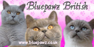 Bluepawz