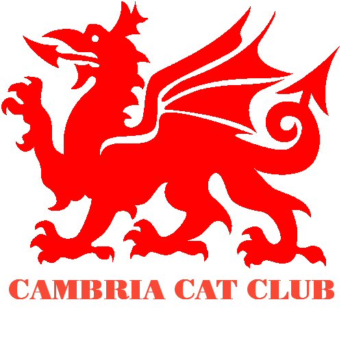 Cambrain Cat Club