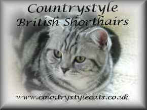 Countrystyle Cats